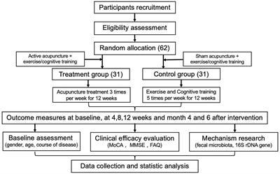 Exploration of acupuncture therapy in the treatment of mild cognitive impairment based on the brain-gut axis theory